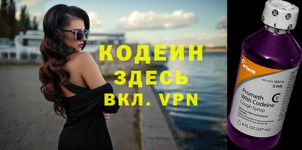 шишки Майский