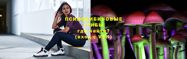 PSILOCYBIN Магас
