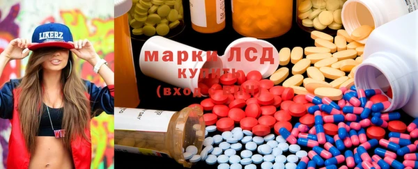 шишки Майский