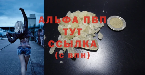 PSILOCYBIN Магас