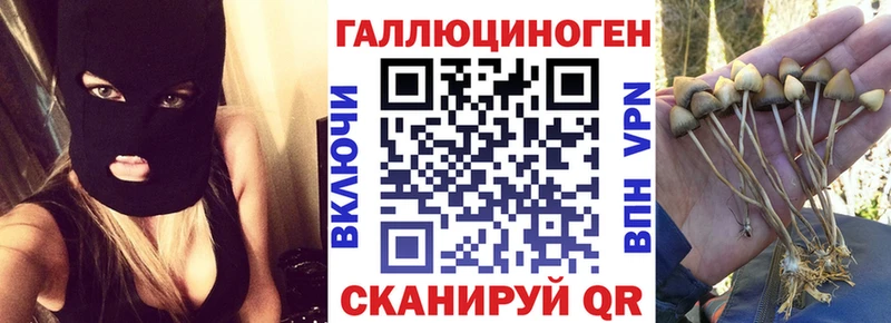 Галлюциногенные грибы мицелий  Купить закладки  Новоалтайск 
